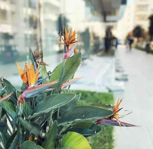 Sun & Sea Qerret 1 Apartamento Golem (Tirana)