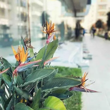 Sun & Sea Qerret 1 Appartamento Golem (Tirana)